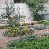فروش-کلنگی-130-متر-فاطمی-غربی