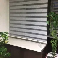دوعدد زبرا رنگ طوسی روشن
