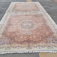 ۶ متری کرم ۵۰۰ شانه