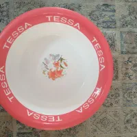 ظرف پلاستیکی