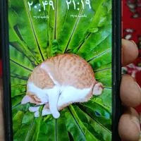 گوشی نوت 9
