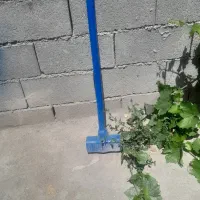 پتک نو نو