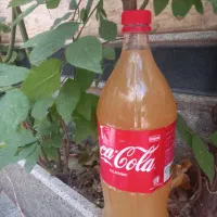 آبغوره