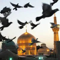 مشهد الرضا ویژه حرکت از قم و تهران زمینی هوایی