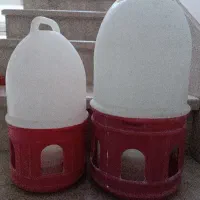 آبخوری پرنده