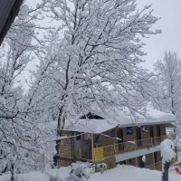 بوم‌گردی در کنار رودخانه و در دل جنگل