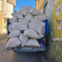 کود کبوتر وحشی