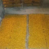 آلو|خوردنی و آشامیدنی|نیشابور, مبارکه|دیوار
