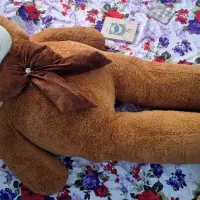 خرس  بزرگ