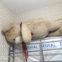 خرس بزرگ عروسکی سایز بزرگ