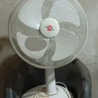 پنکه