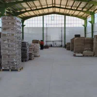 کارتن سازی