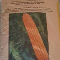 بذرت ذرت ۷۰۴ مغان