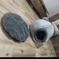 جای خواب گربه