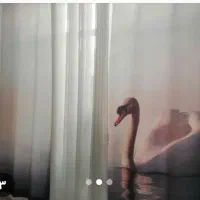 پرده