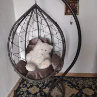 تاب باغی