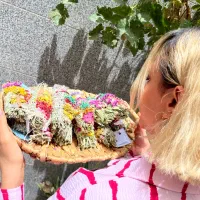 اسماج عود گیاهی پاکسازی و رزق وروزی