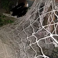 چادر تور تریلی لبه دار