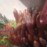 سرکه انگور و سرکه سیب