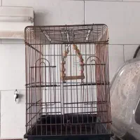 قفس بزرگ