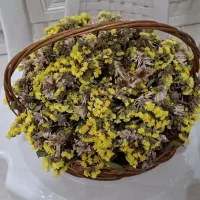 گل طبیعی خشک شده با سبد