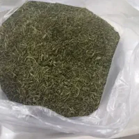 نعناع