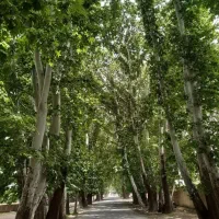 زمین2ونیم-هکتارجهان-ویلادرخشانیه-تهراندشت-ایقربلاغ