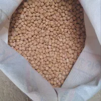 نخود تازه و خوش پخت همدان