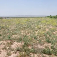 فروش زمین با سند باغ تک برگ در شنازند قزوین