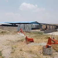 فروش زمین کشاورزی و دامداری صنعتی|فروش دفتر صنعتی، کشاورزی، تجاری|تهران, شهران شمالی|دیوار