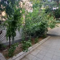 اجاره خانه ویلایی ۵۰ متری ۳ خوابه در هفت چنار|اجارهٔ خانه و ویلا|تهران, هفت چنار|دیوار