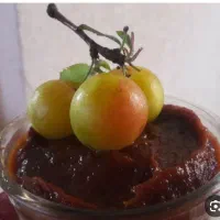 ترشی انار و آلوچه