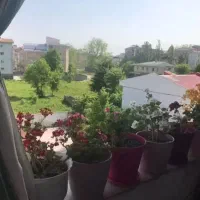 ۳ نفر آقا برای همکاری در مشاور املاک شهید انصاری