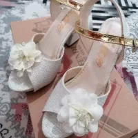 کفش مجلسی