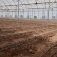 زمین گلخونه|فروش دفتر صنعتی، کشاورزی، تجاری|معصومیه, |دیوار