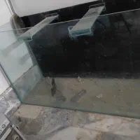 اکواریوم