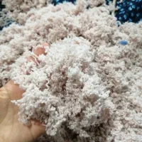 کاموا برای بالیش