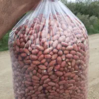 فروش بادام درجه یک مغان