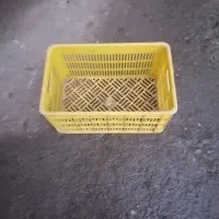 سبد بزرگ میوه