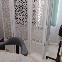 پارتیشن