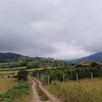 زمین باغی نزدیک محل ۳۹۰ متری فنس کشی شده