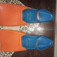فین شنا