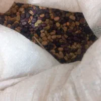 باقله برای بذر