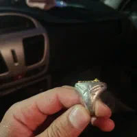 دو عدد انگشتر زیبا