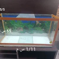 آکواریوم بزرگ ، فقط سه میلیون تومان