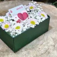 باکس هدیه باکس گل و پول