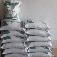 بذریونجه بوجاری شده،سیاه یونجه ورنجرامریکایی