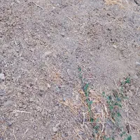فروش قطعه زمین زندان