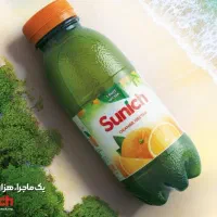 ویزیتور مویرگی