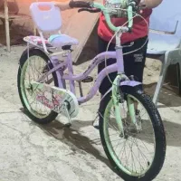 دوچرخه 20
